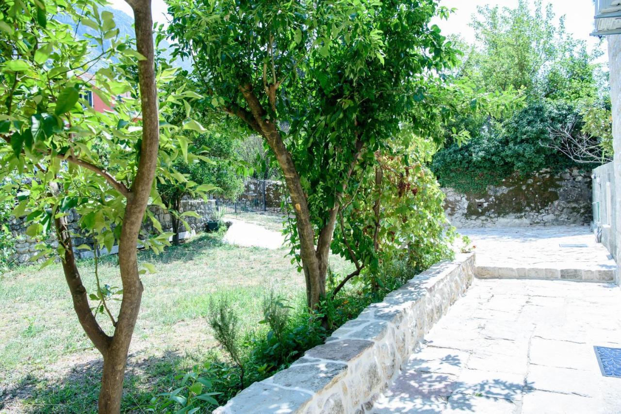 הוילה קוטור Stone House 264 מראה חיצוני תמונה